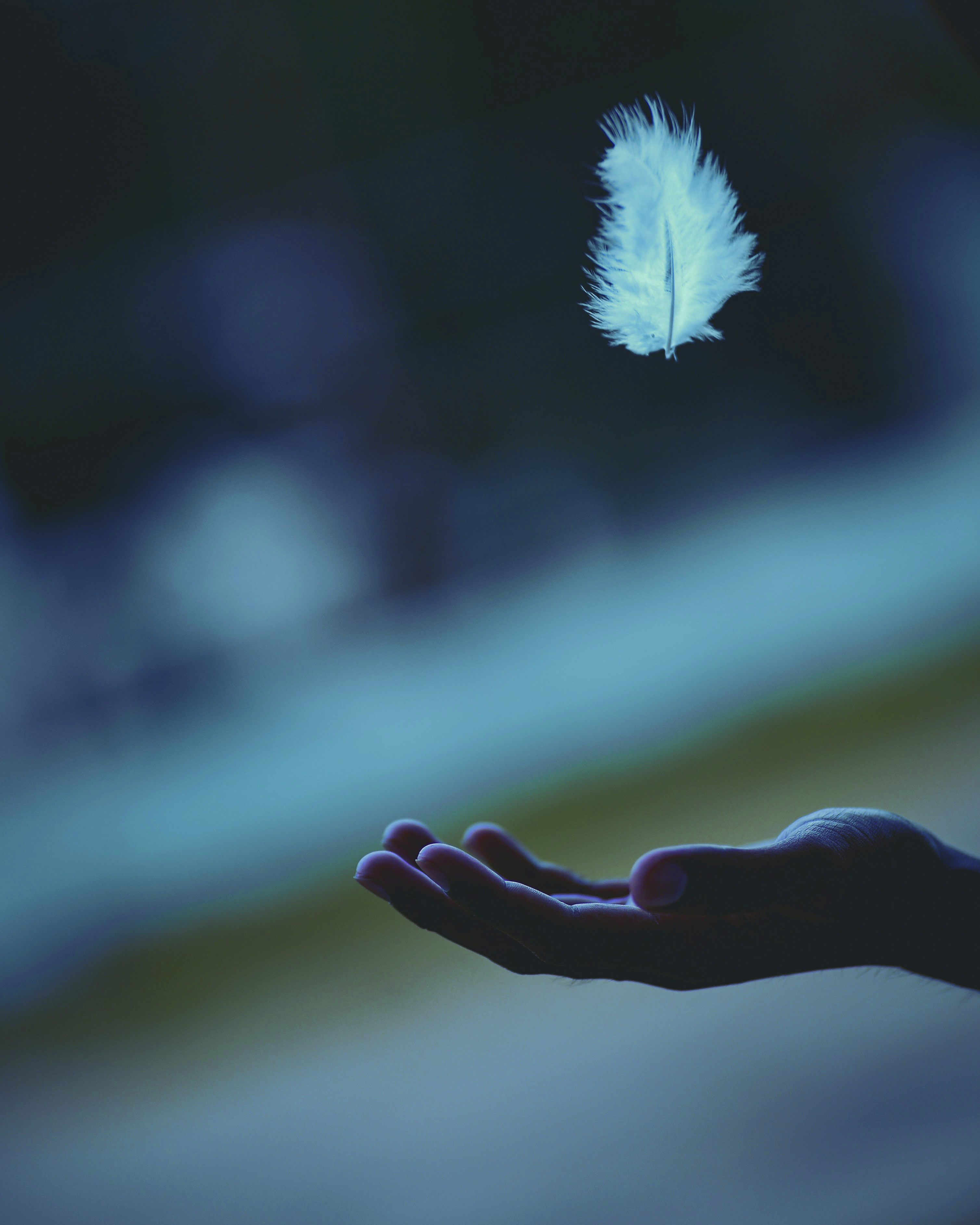 Javardh en Unsplash