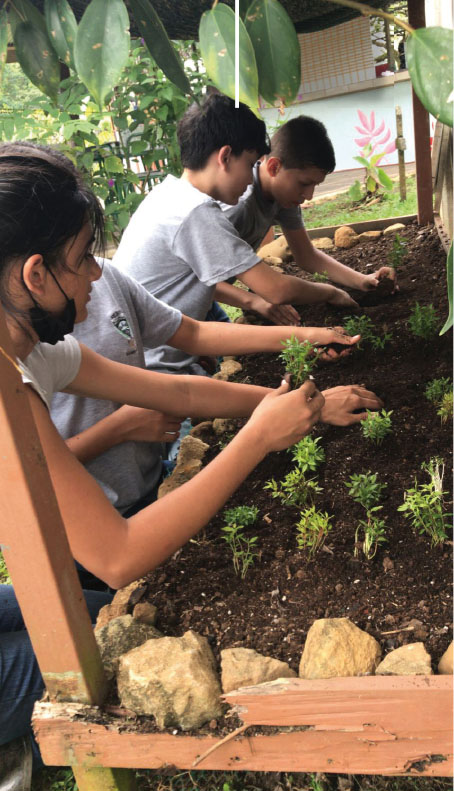 Alumnado realizando tareas hortícolas en la Finca Tierra Prometida