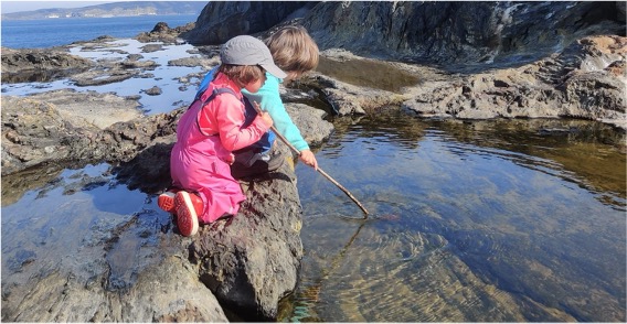 Infants tocant l'aigua de la platja amb un pal 