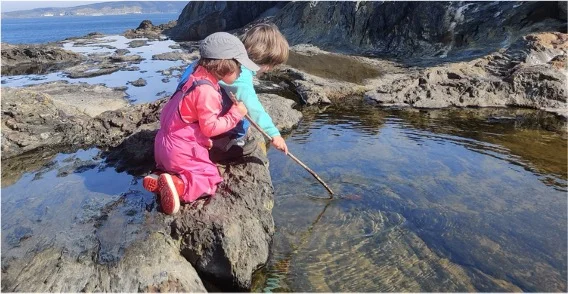 Educación en la naturaleza para aprehender la vida: La experiència Amadahi