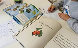 L’imprescindible i el desitjable: el camí cap a l’aprenentatge