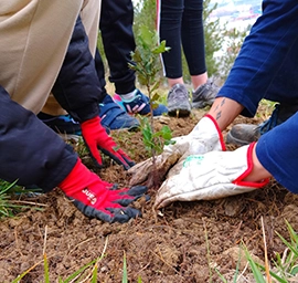 Projecte «ApS Ezkaba Reforest´ Action»: un incendi com a oportunitat d´aprenentatge